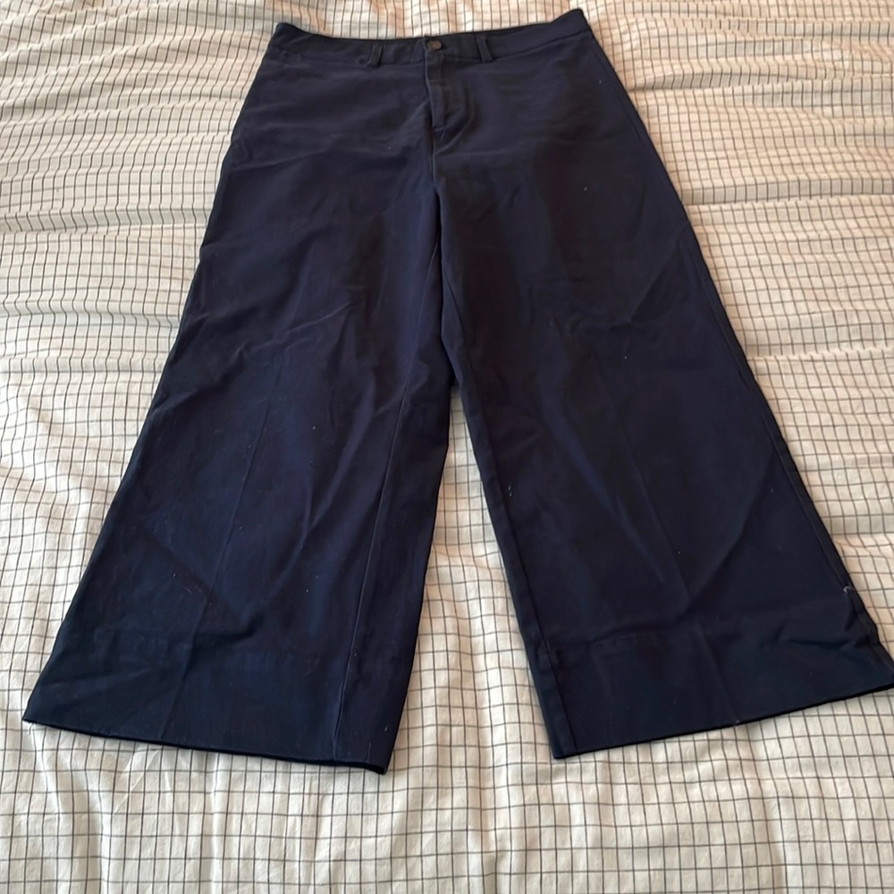 Frank and Oak The Josephine wide leg trouser NWT